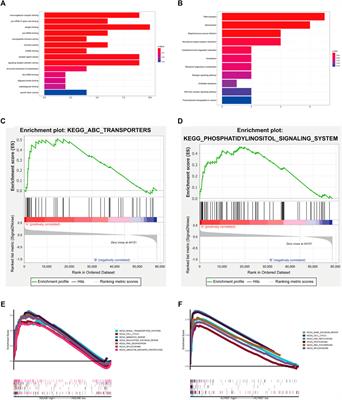 Exploration of Potential Roles of m5C-Related Regulators in Colon Adenocarcinoma Prognosis